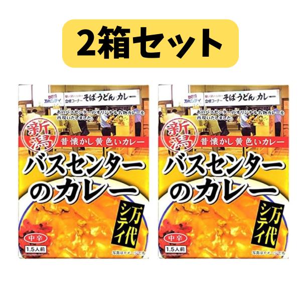 【 2箱セット 】バスセンターのカレー 新潟 昔懐かし黄色いカレー 220ｇ 1.5人前×2 レトルト
