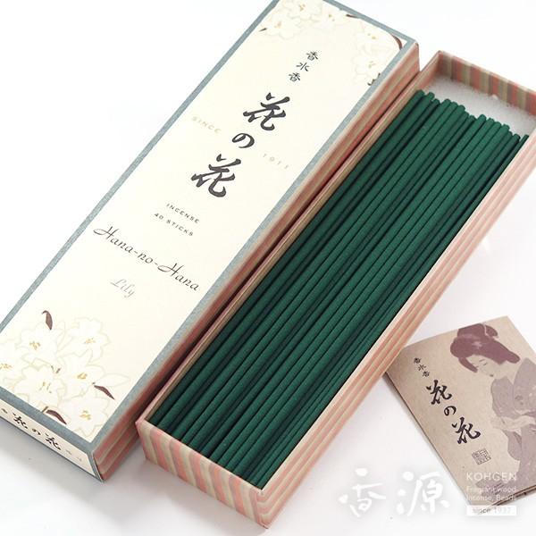  { Ԃ̉  40{ XeBbN A} { Ԃ̍      X