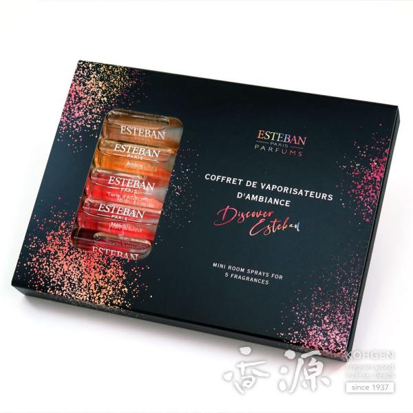 ESTEBAN(GXeo)~j[Xv[A\[gRt      X