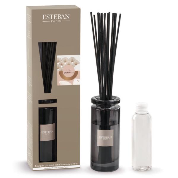 GXeo CXJV~A CjV^u[P      X