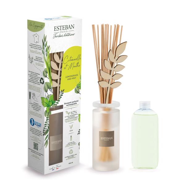 ESTEBAN CeAK[f ^u[POX~g      X