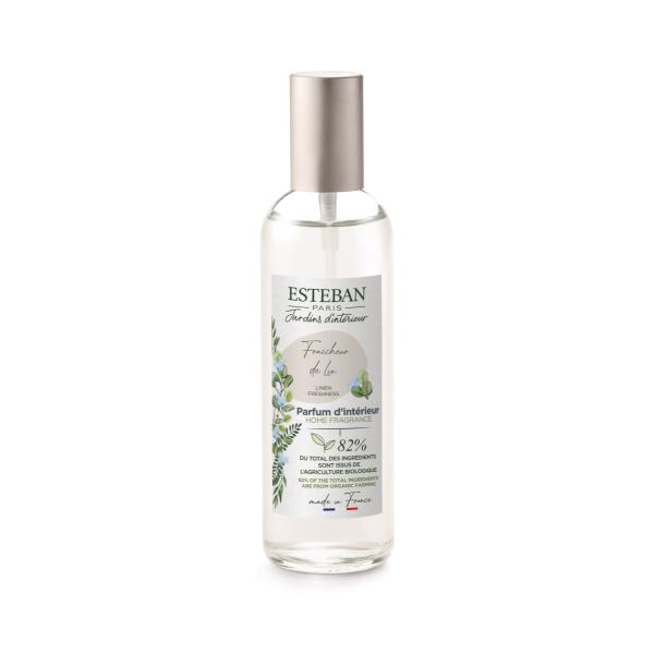 ESTEBAN CeAK[f [Xv[100ml tV[l      X