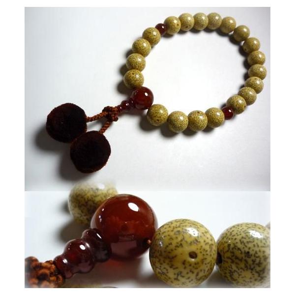  jp  S@hΉ  20  d V[ [ Y O ジ ˔t      X