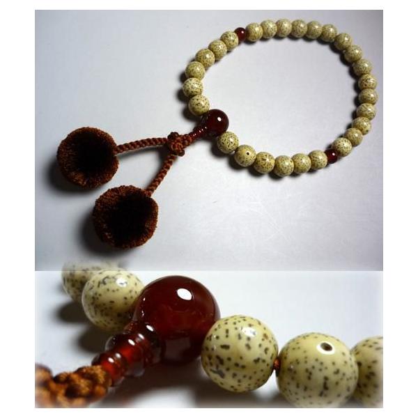  jp  S@hΉ  27  d V[ [ Y O ジ ˔t      X