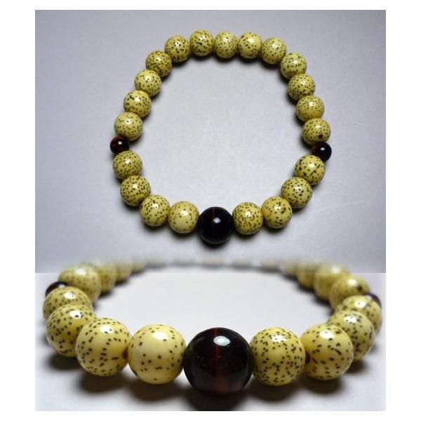  ԌՖڐ ^CK[ACd p[Xg[ VR΃uXbg r id      X