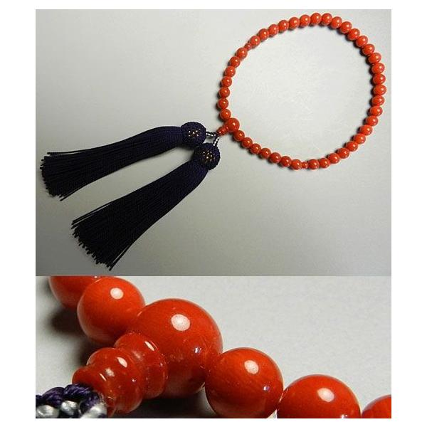 p̂ ŏ㋉ӓnX6.3mm d      X