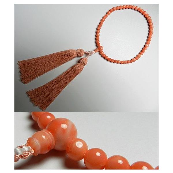 p̂ [CX 5mm d      X