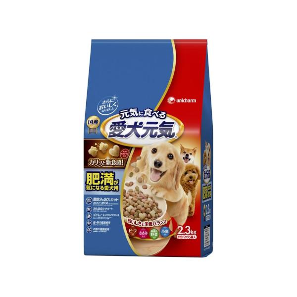 jE`[  C얞CɂȂ鈤pr[tE݁EΉF؁E2.3kgyhbOt[h hCz