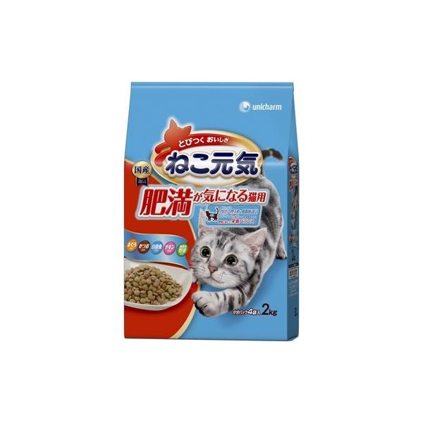 kohnan-eshop_4520699689936