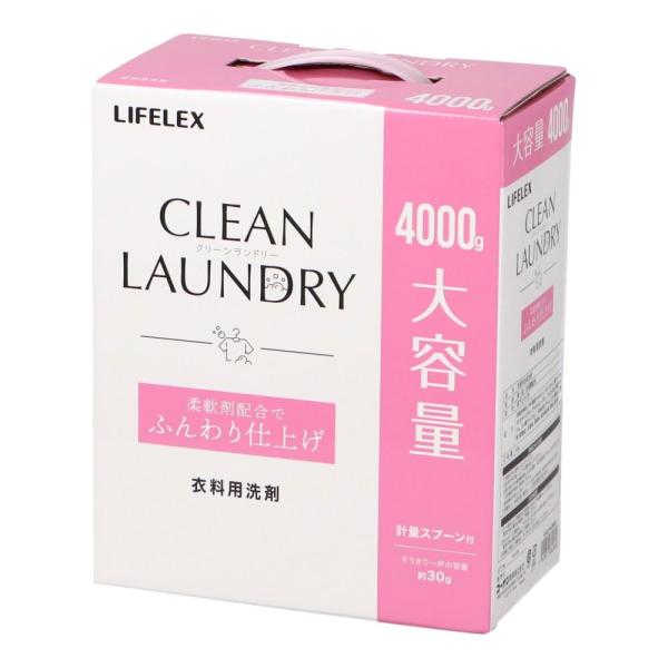 GOD CLEAN ゴッドクリーン 粉末洗剤 300g 24個セット GOD CLEAN ゴッド