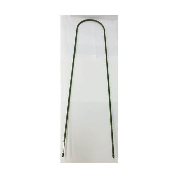 R[iIWi LIFELEX@A[`x@PP×PQO