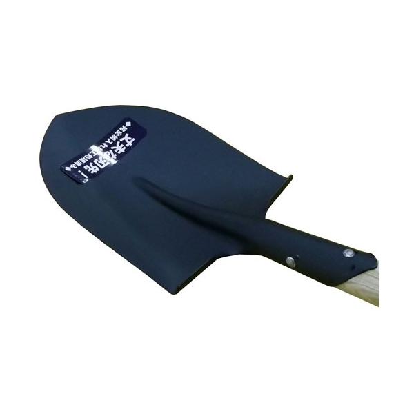 R[iIWi LIFELEX@ؕ@z[Vx@rrTORix