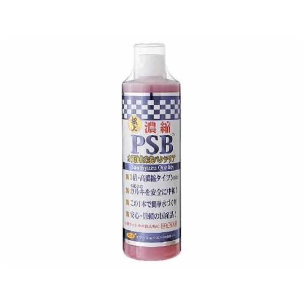 �T���~���[�Y  �Z�kPSB�@500����