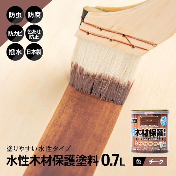 R[i IWi PROACT ؍ޕیh ODVk `[N