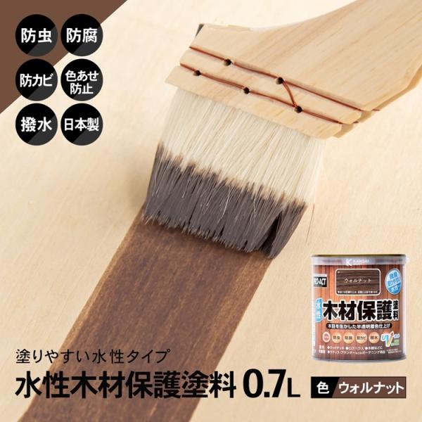 R[i IWi PROACT ؍ޕیh ODVk EHibg