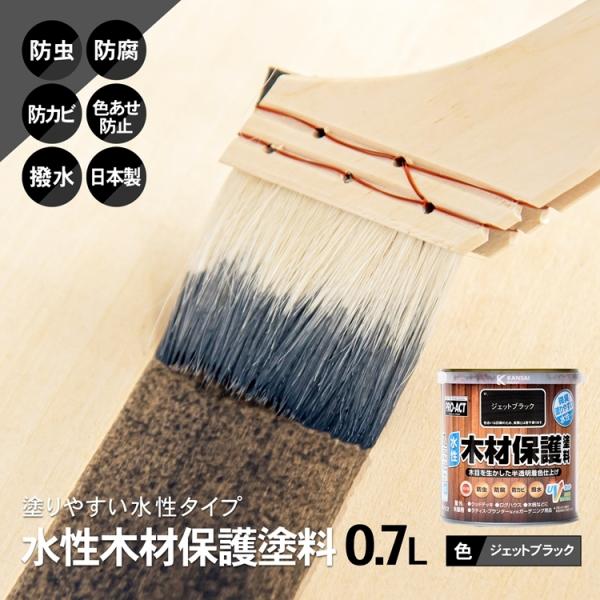 R[i IWi PROACT ؍ޕیh ODVk WFbgubN