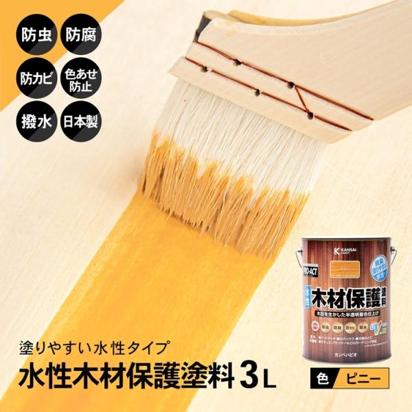 R[i IWi PROACT ؍ޕیh Rk sj[