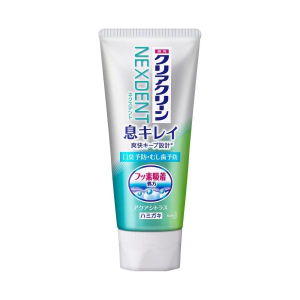 ԉ NAN[NEXTDENT ܂ŃLC ANAVgX 110g