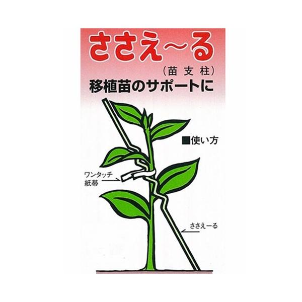 ◇◇ 【特長】 ●幼苗の支えに！ ●苗の移植後、根が活着するまでしっかり固定します。 【仕様】 ●材質：ＰＶＣ被覆鉄線 【備考】 ※上記画像は、使用イメージとなります。
