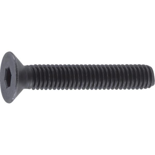 他サイト： 【メーカー直送T】トラスコ中山(TRUSCO)　六角穴付皿ボルト　黒染め　サイズＭ４Ｘ８　６５本入  B73-0408の商品画像