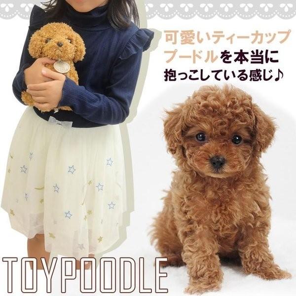 トイプードル ぬいぐるみ 犬 動物 いぬ 子供 キッズ こども 女の子 誕生日 ギフト25cm Dog 25 コウホウ 通販 Yahoo ショッピング