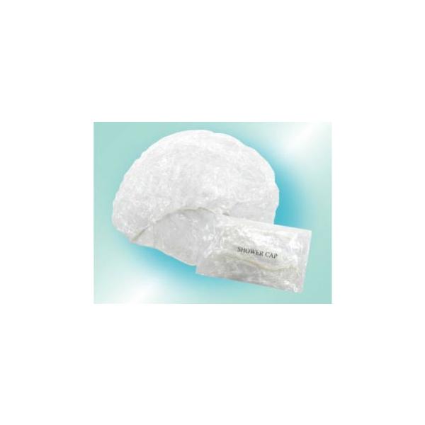 V[Lbv 500 x 4  wALbv ĝ h Ɩp