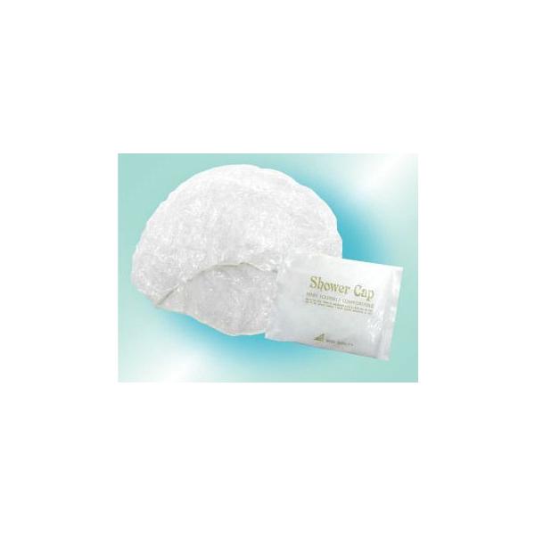 V[Lbv500x4(SS-20jwALbv ĝ h Ɩp