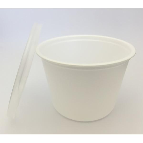 w CFJbv@CF95-270 {́{t^Zbg@100 X[v@y Ɩp@ĝ