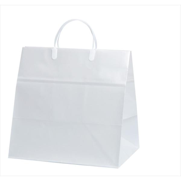 ܁@񂰑܁@uC_obO@@n@10  360x}`250x350mm