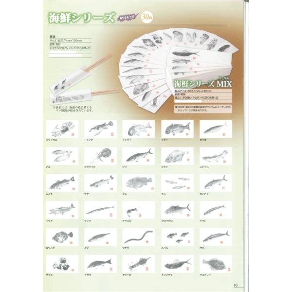 ܁@nJ}@CNV[Y ~bNX 500@Ɩp@