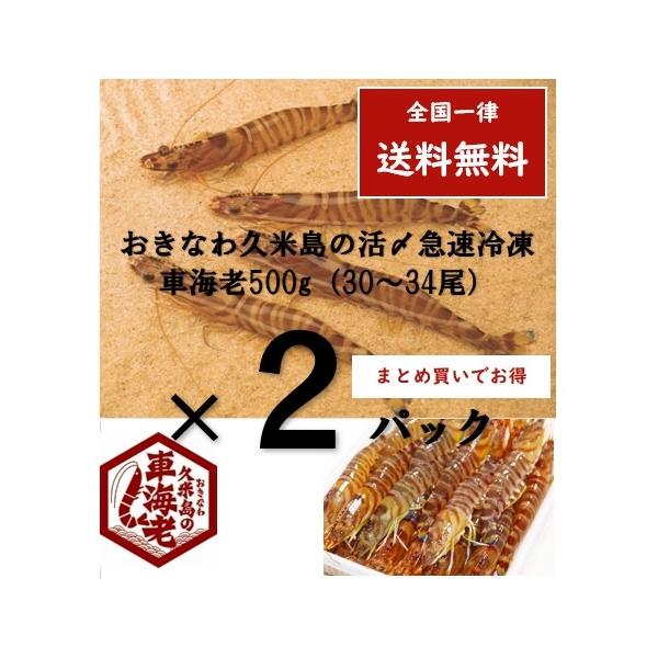 車海老500g 30-34尾 × 2パック 沖縄久米島 久米総合開発 活〆 車海老500g 30-34尾 × 2パック 沖縄久米島 久米総合開発 活〆