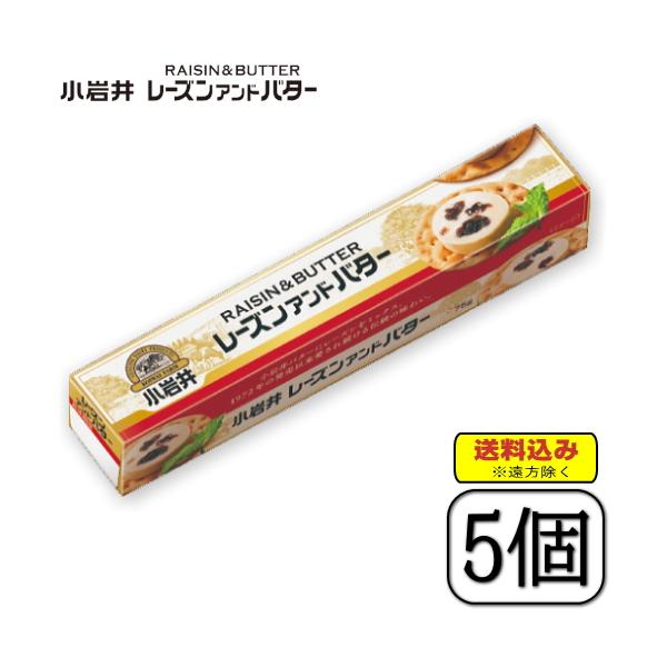 小岩井レーズンアンドバター　75g×【15本セット】