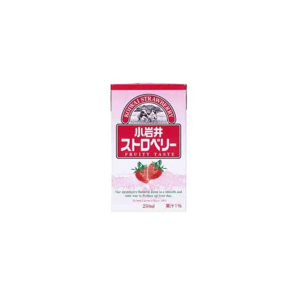 小岩井ストロベリー＜紙パック常温保存可能品＞250mlレギュラー×【1ケース24本セット】