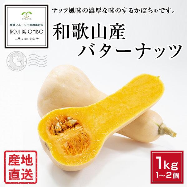 産地直送 和歌山産 バターナッツ 約1kg 1 2個 Butternut 1000 Koji De Omiso 通販 Yahoo ショッピング