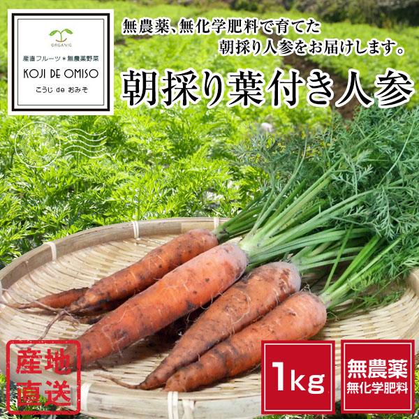 無農薬 和歌山産 朝採り葉付き人参 1kg［送料無料 ※北海道、沖縄は送料