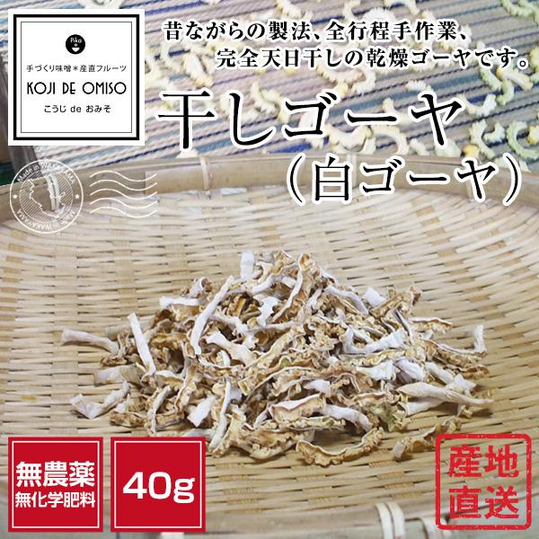 産地直送！和歌山産 干しゴーヤ・乾燥ゴーヤ（白ゴーヤ）約40g :dry 