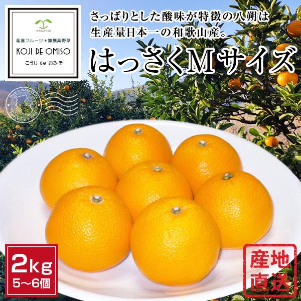 和歌山より産地直送 はっさくMサイズ 約2kg 5〜6個 : koji de 和歌山より産地直送 はっさくMサイズ 約2kg 5〜6個 : koji de