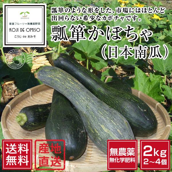 無農薬 和歌山産 瓢箪かぼちゃ（日本かぼちゃ） 約2kg［送料無料
