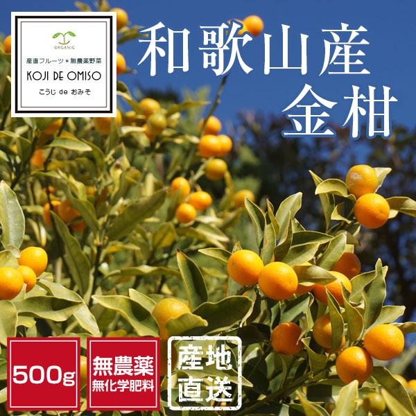 ■露地栽培につき、多少の葉スレ、枝スレがあります。ご了承ください。■サイズ不揃い。■複数ご注文いただいた場合、特にご要望がない限りまとめて箱詰めになります。■青果物、発酵食品は、必ずお届け日当日にお受け取りください。■翌日「午前」「12:0...