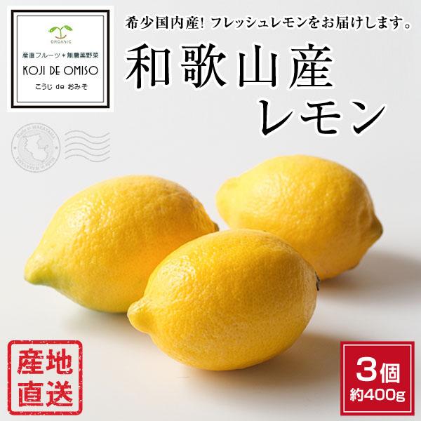 名入れ無料】 和歌山県産 国産レモン １個
