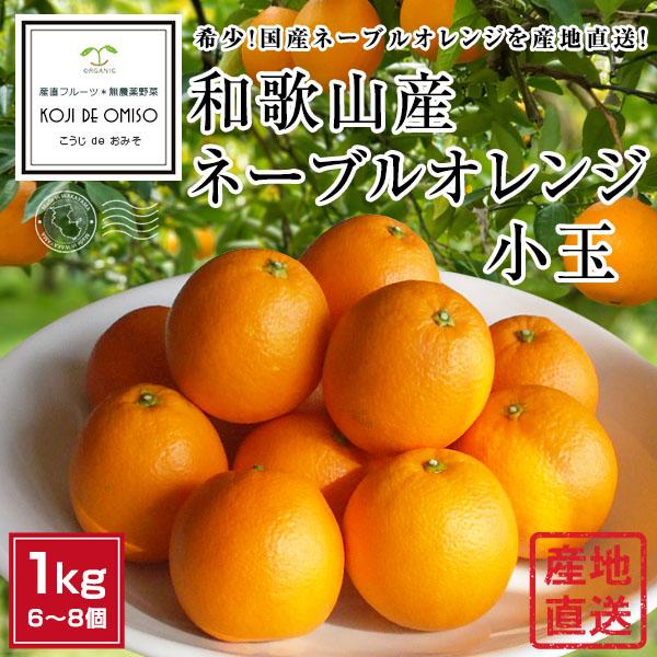産地直送!和歌山産 ネーブルオレンジ 小玉 約1kg □期日指定 産地直送!和歌山産 ネーブルオレンジ 小玉 約1kg □期日指定