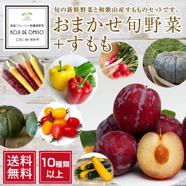 産地直送 おまかせ旬野菜セット 10種類以上 すもも 約500g 送料無料 期日指定不可 翌日受取限定 時間指定にご注意ください Omakaseset Plum Koji De Omiso 通販 Yahoo ショッピング