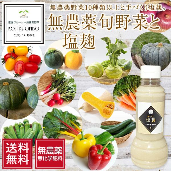 ■こちらの商品は全ての野菜が無農薬栽培になります。多少の虫喰い、また稀に小さな虫が入る場合もあります。ご理解の上お買い求めいただきますようお願いいたします。■雨の日が続くと発送が遅くなる場合もあります。ご了承下さい。■青果物、発酵食品は、必...