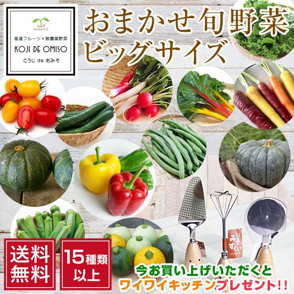 ■こちらの商品は全ての野菜が無農薬栽培または低農薬栽培になります。多少の虫喰い、また稀に小さな虫が入る場合もあります。ご理解の上お買い求めいただきますようお願いいたします。■翌日「午前」「12:00〜14:00」お届け可能地域は、関西、東京...