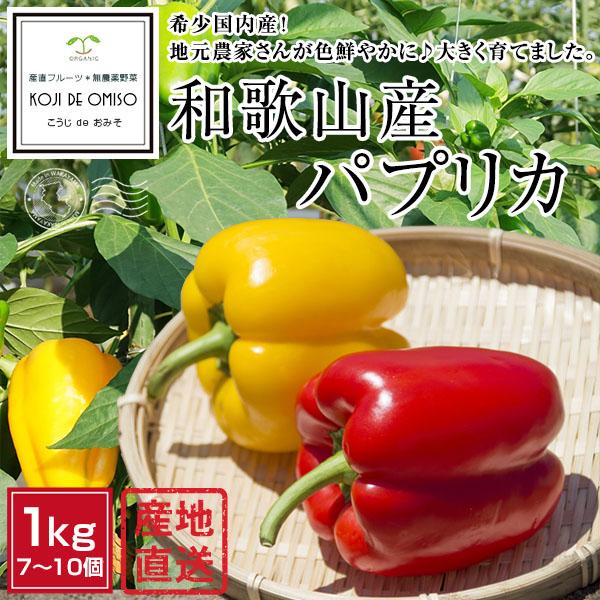 パプリカ(出荷時初回返信/基本翌日発送) パプリカ(出荷時初回