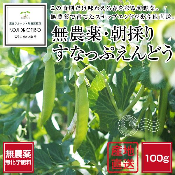 無農薬 和歌山産 朝採り スナップエンドウ 100g □期日指定不可・発送 