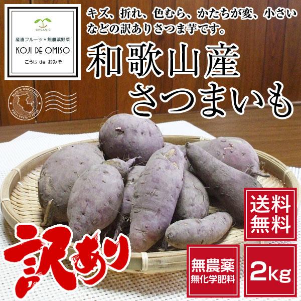 ■キズ、折れ、色むら、かたちが変、小さい、割れ、などがある訳ありB品です。ご了承いただいた上お買い求めください。■約2kg（6〜10本）■青果物、発酵食品は、必ずお届け日当日にお受け取りください。■翌日「午前」「12:00〜14:00」お届...