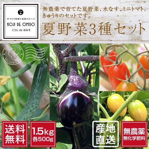 無農薬 和歌山産 朝採り夏野菜 水茄子 ミニトマト きゅうり 3種 約1 5kg 送料無料 期日指定不可 時間指定にご注意ください Summerset3 Koji De Omiso 通販 Yahoo ショッピング