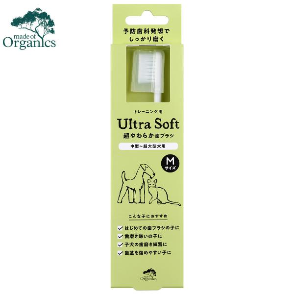 ChIuI[KjNX puV 炩uV M n~KL