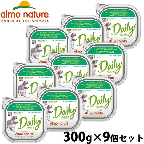 デイリーメニュー ラムとポテト入りお肉のご馳走